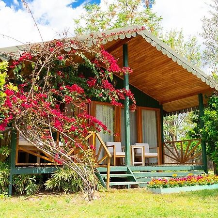 Etenna Beach Bungalows Çıralı Exteriér fotografie